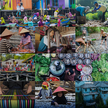 Ketahanan Pangan Meningkat 15% di Tahun 2025